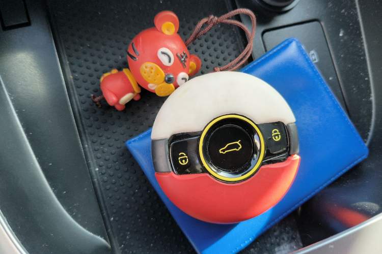 Used smart #1 2024 Dynamic Standard Edition Vehicle Key