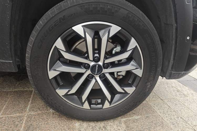 Used Haval H Dog 2023 2.0T Two-Wheel Drive Chaoye Version Plus