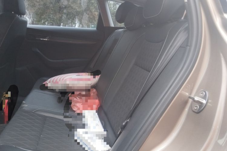 Used Skoda Karoq 2021 TSI280 Luxury Edition