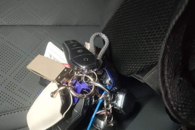 Used BYD Qin PLUS 2025 DM-i Smart Drive 55KM Leading Model Interior 1