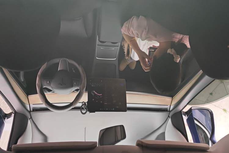 Used Tesla Model Y 2021 Long-Range All-Wheel-Drive Version Headliner