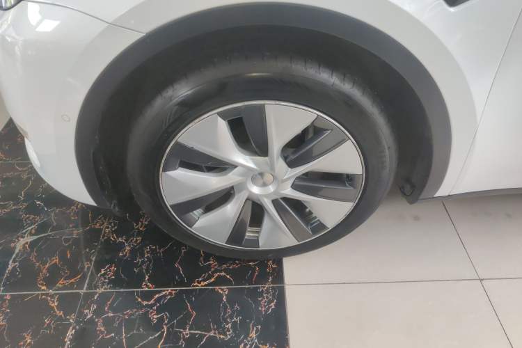 Used Tesla Model Y 2021 Standard Range Rear-Wheel Drive Version