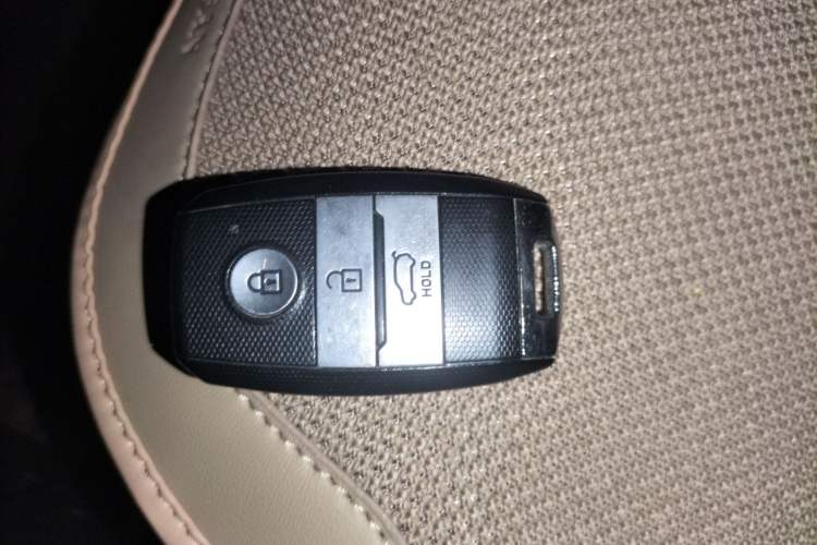 Used Land Rongyao 2020 1.5 GTDI Automatic Smart·Yao