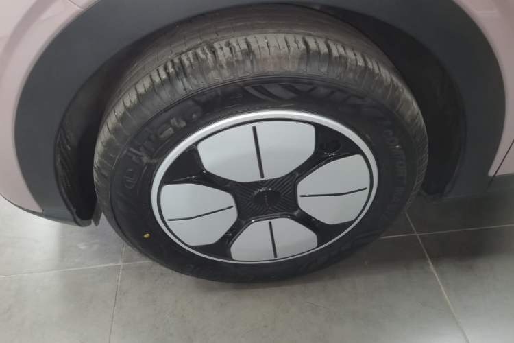 Used Geely Galaxy Geome 2025 310km Youth Edition