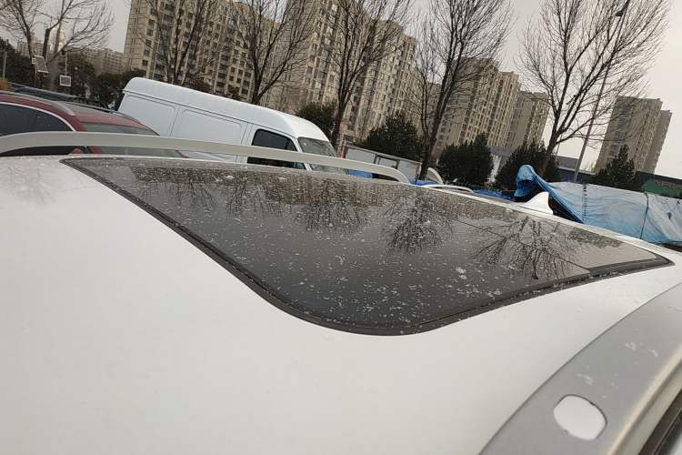 Used Ford Ranger 2023 Wild Terrain 4x4 Automatic Version Gasoline