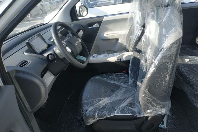 Used Qiyuan Lumin 2025 205 km Xiangqin Version
