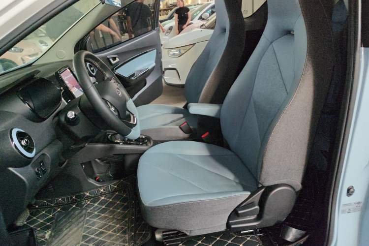 Used Chery Little Ant 2023 251km True Love Edition Lithium Iron Phosphate