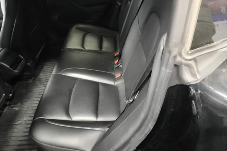 Used Tesla Model 3 2019 Standard Range Rear-Drive Upgraded Version