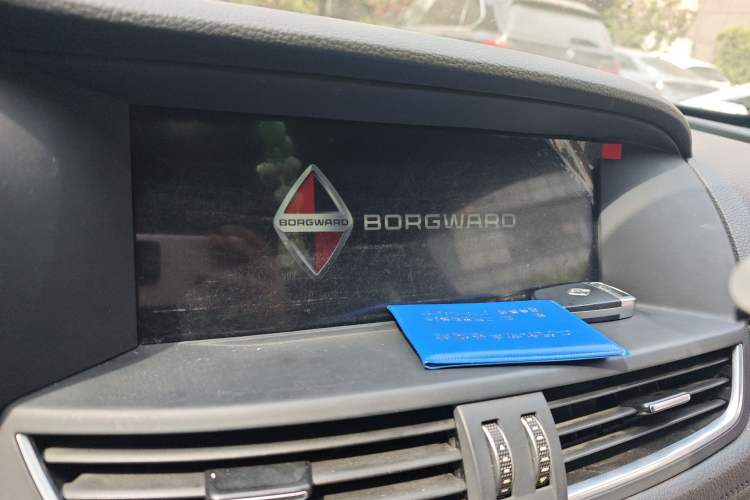 Used BORGWARD BX7 2018 2.0T TS Four-Wheel Drive Luxury Version China V
