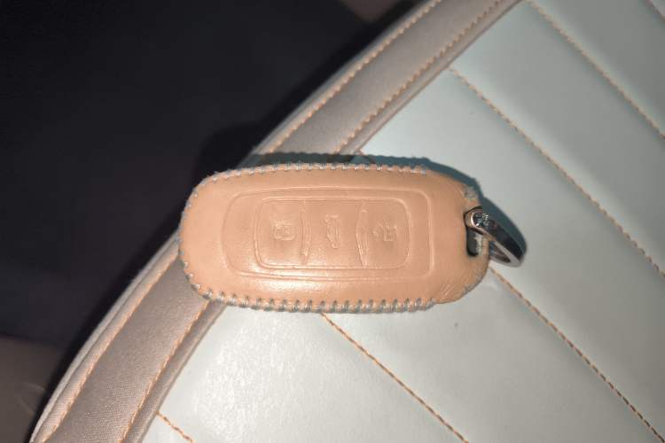 Used Geely Galaxy Panda 2023 Panda Mini 200km Endurance Bear