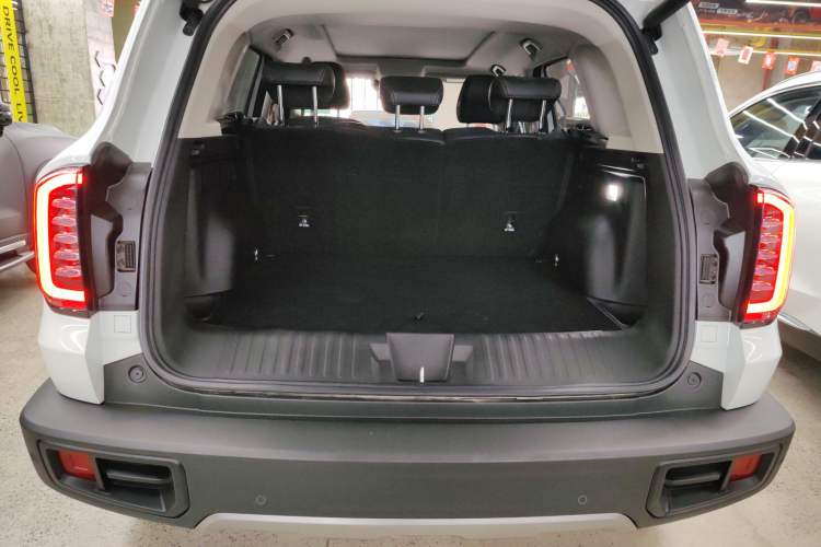 Used Haval DARGO 2024 2.0T DCT Chinese Rural Dog Edition