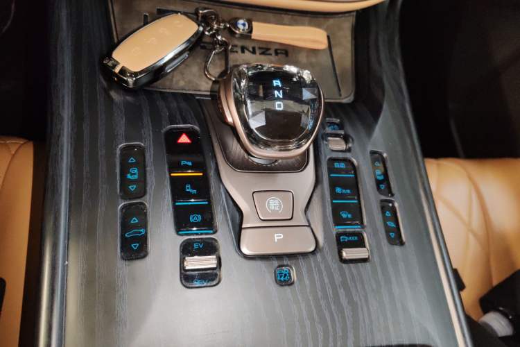 Used Denza D9 2022 DM-i 970 Four-Wheel Drive Prestige Model