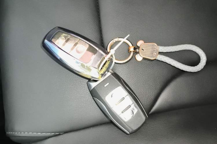 Used Haval H2 2018 Red-Label 1.5T Dual-Clutch Two-Wheel-Drive Luxury Model Interior 1