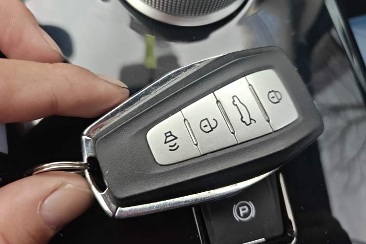 Used Geometry E Firefly 2022 401 km Linglong Tiger 4 Seats
