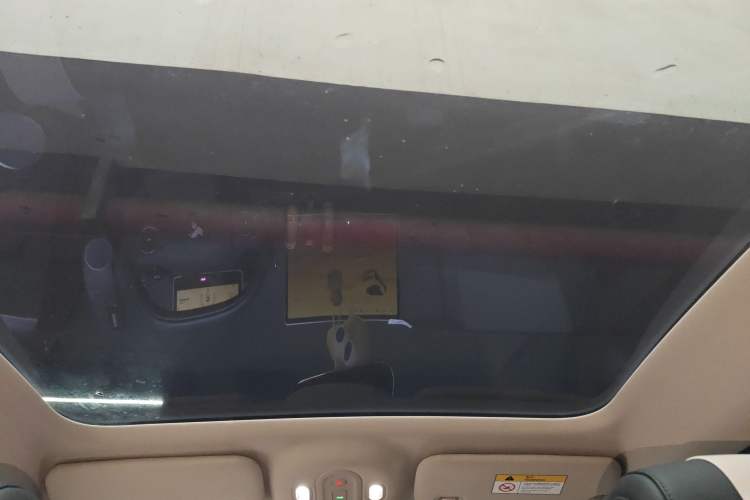 Used firefly 2025 Night Creature Special Edition