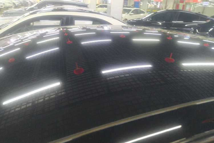 Used Tesla Model 3 2023 Rear-Wheel-Drive Version Roof