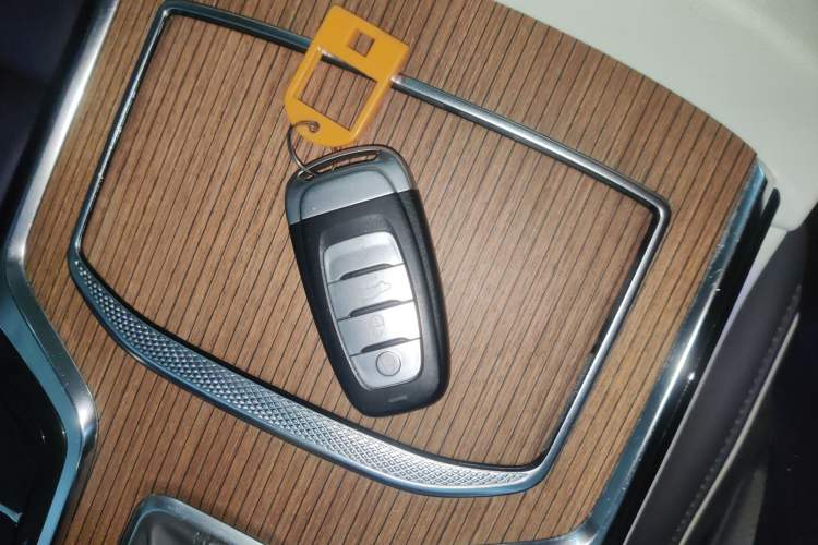 Used Hongqi E-HS9 2021 460 km Range Flagship Edition Six-Seater
