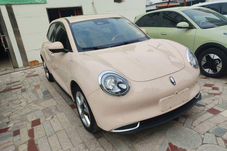 Used ORA Good Cat 2023 401 km Standard Range Premium Trim Ternary Lithium
