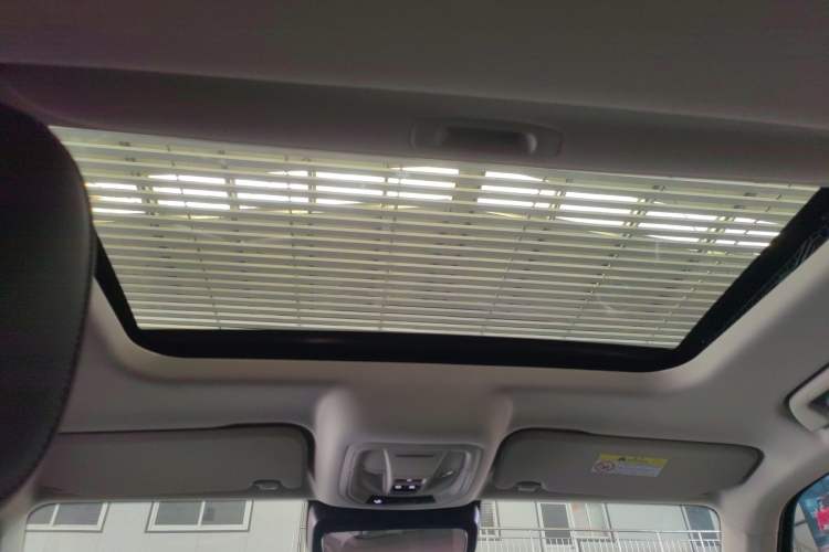 Used Tank 300 2024 2.0T Conqueror