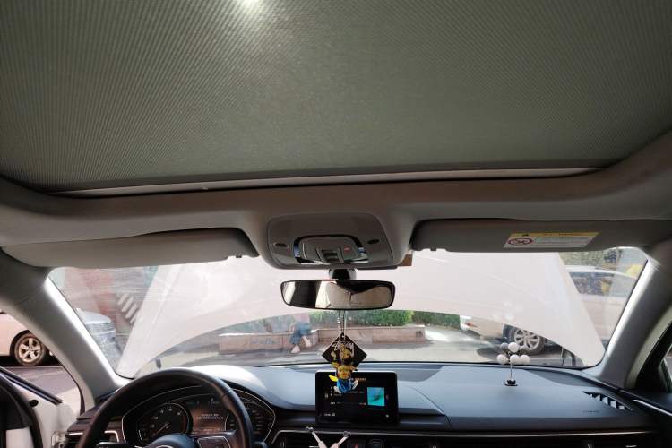 Used Audi A4L 2019 40 TFSI Ambition China VI Headliner