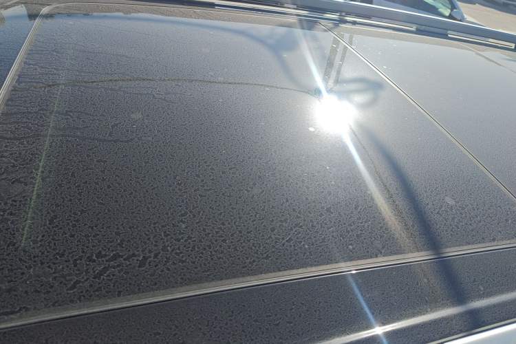 Used Tank 500 2022 3.0T Sport Edition "Creation" Version 5-Seater