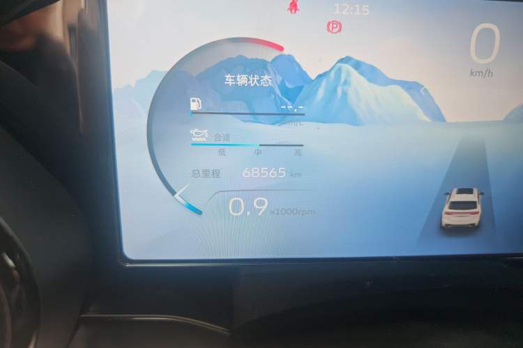 Used Geely Auto Monjaro L 2021 2.0TD DCT EVO Two-Wheel Drive Prestige Version Odometer Close Up