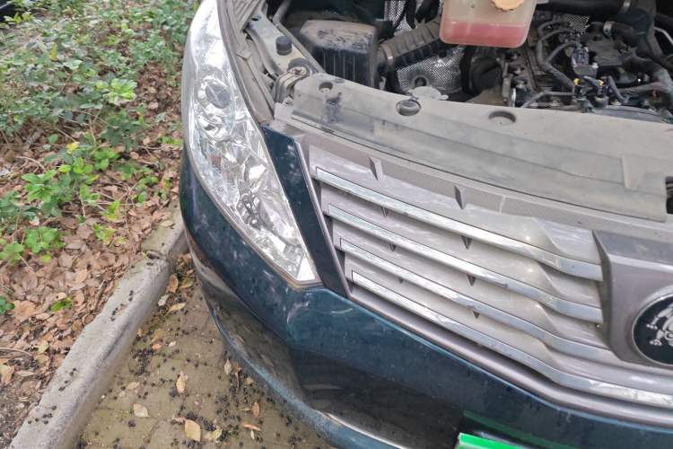 Used FORTHING Lingzhi PLUS 2021 Travel Edition 2.0L Manual Luxury 7-Seater
