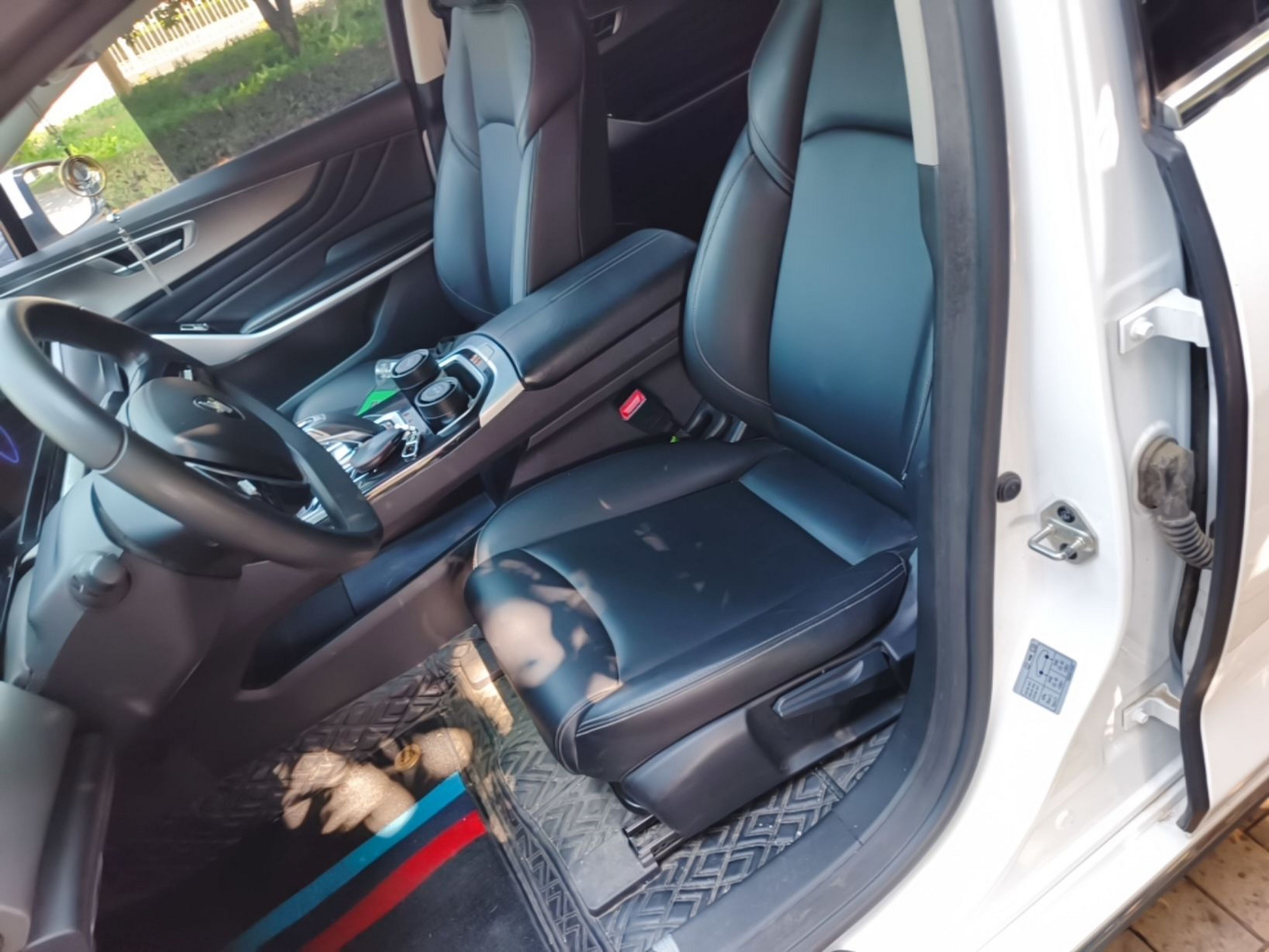 Interior delantero