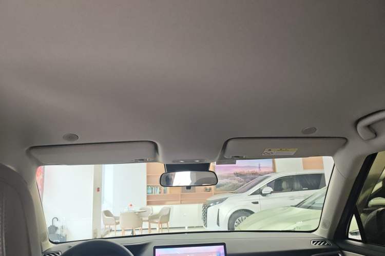 Used BYD Yuan UP 2024 401KM Leading Edition Headliner