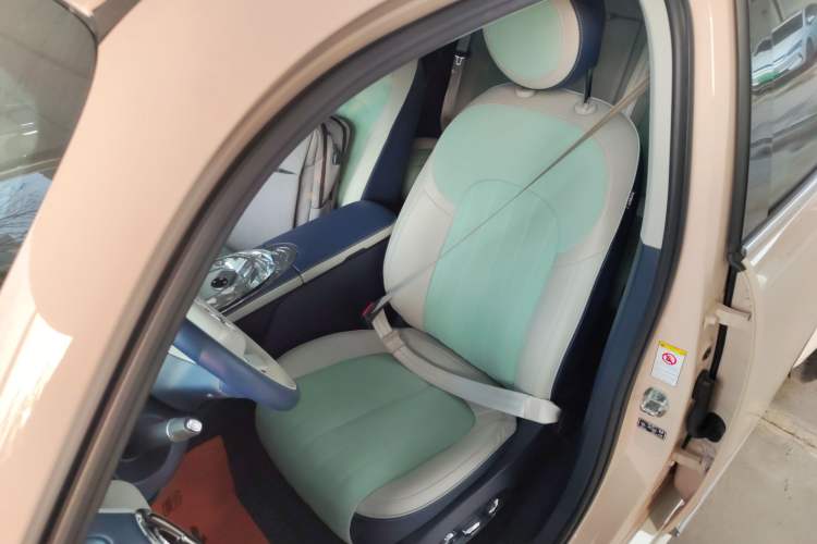 Used ORA Ballet Cat 2022 401 km Nutcracker Edition