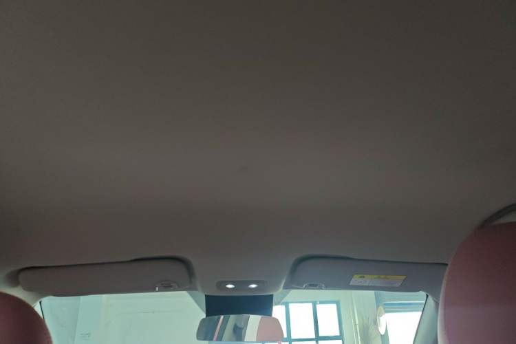 Used NETA V 2021 Witch Edition
