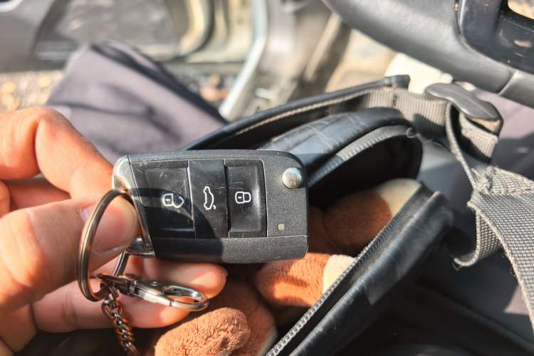 Used Volkswagen Tiguan L 2019 330TSI Automatic Two-Wheel Drive Smart Luxury Version China V Emission Standard