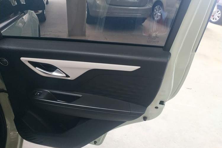 Used SOL E10X 2022 Flower Fairy Style Baby's Breath
