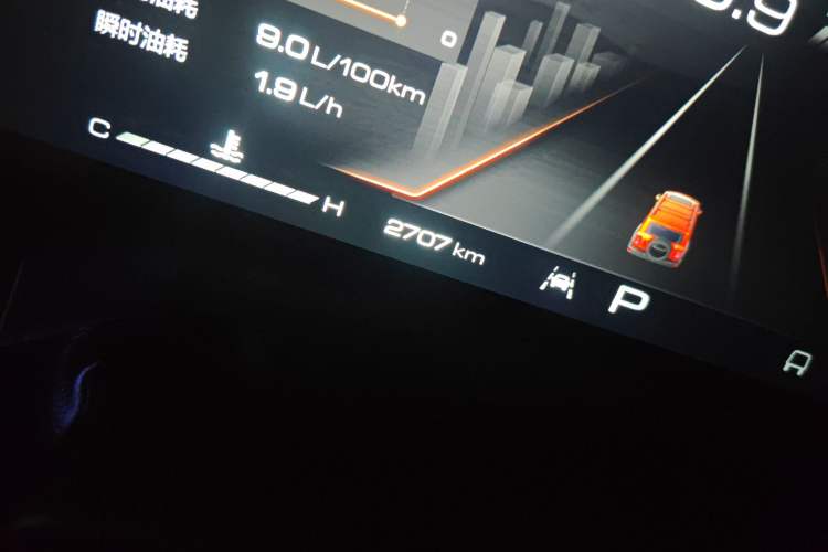 Used Tank 300 2024 2.0T Conqueror