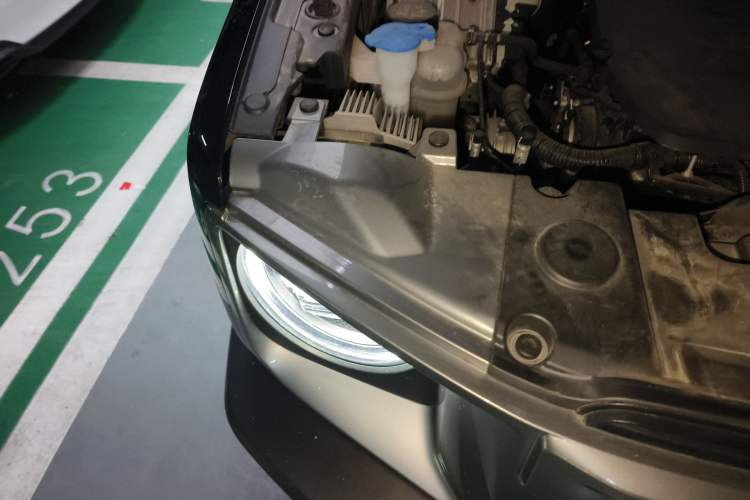 Used Haval DARGO 2024 1.5T DCT Border Collie Edition