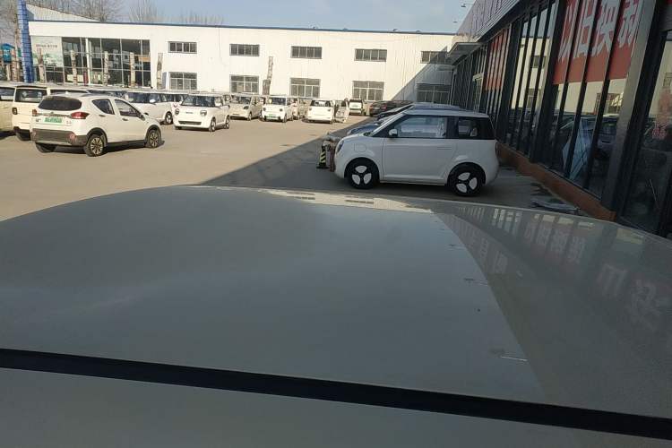 Used Qiyuan Lumin 2025 205 km Xiangqin Version
