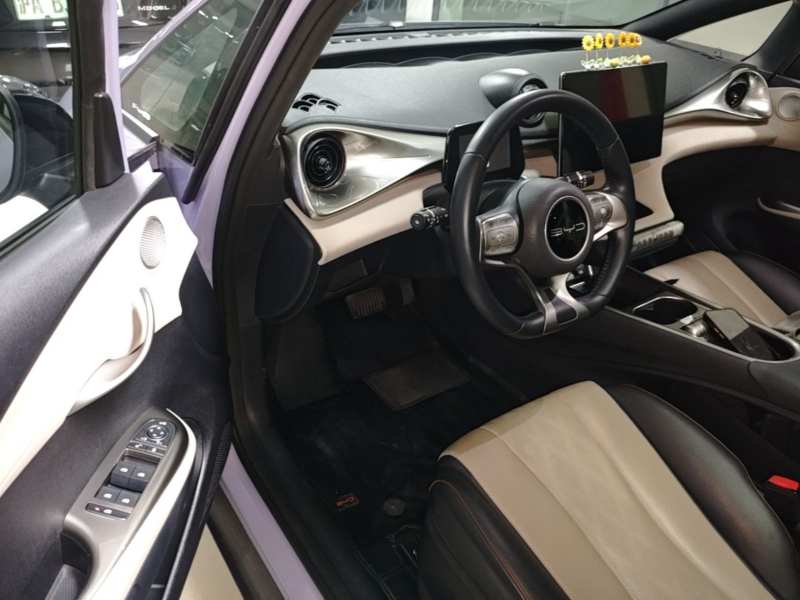Used BYD Dolphin 2023 420 km Fashion Edition — 15