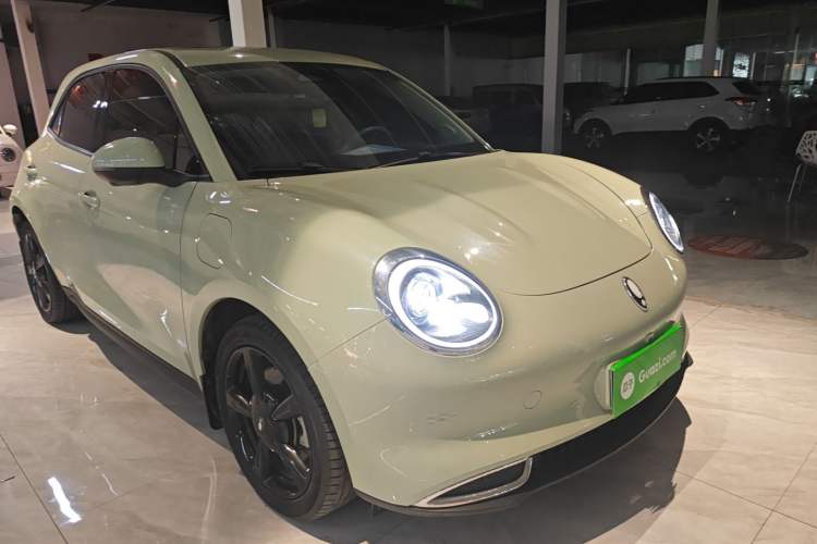 Used ORA Good Cat 2024 501 km Luxury Version Exterior 1