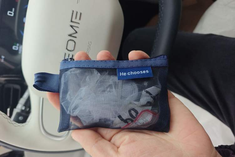 Used Geely Galaxy Geome 2025 310km Youth Edition
