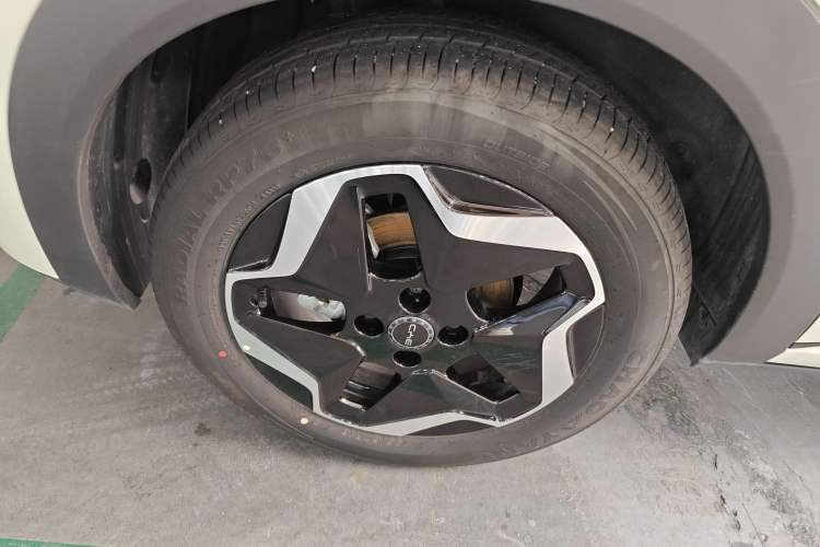 Used BYD Dolphin 2025 Smart Drive Version 420 km Freedom Edition Right Rear Wheel Hub