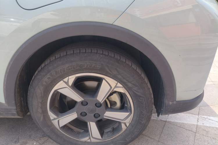 Used Geometry E Firefly 2022 401 km Linglong Tiger 4 Seats