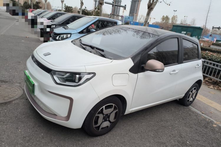 Used SOL E10X 2022 Flower Fairy Style Baby's Breath
