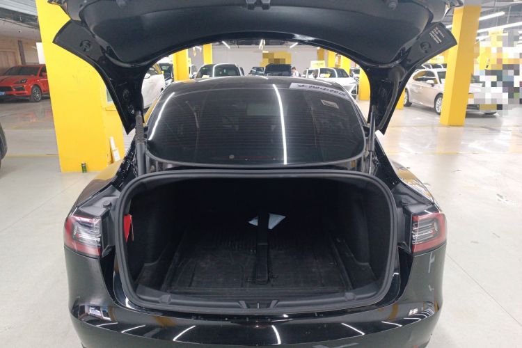 Used Tesla Model 3 2021 Standard Range Rear-Wheel Drive Upgraded Version 3D6