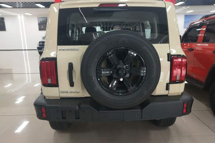 Used Tank 300 2025 2.0T Conqueror