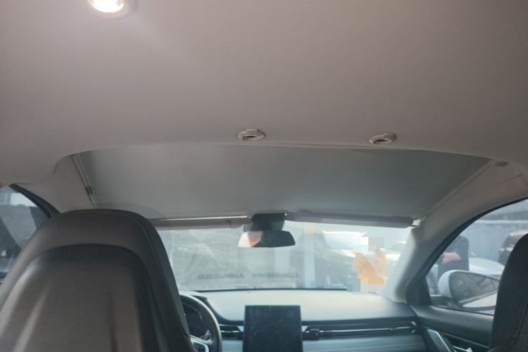 Used XPeng G3 2019 Smart Edition Headliner