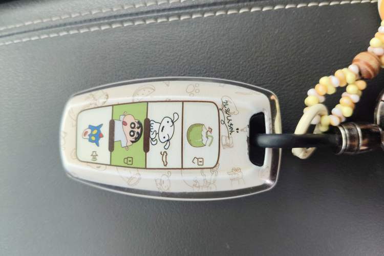 Used Haval JOLION 2021 1.5T Automatic Grand Three-Volume Version Vehicle Key