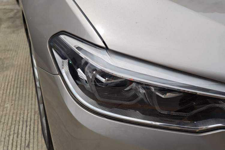 Used BMW 5 Series New Energy 2019 530Le Luxury Package