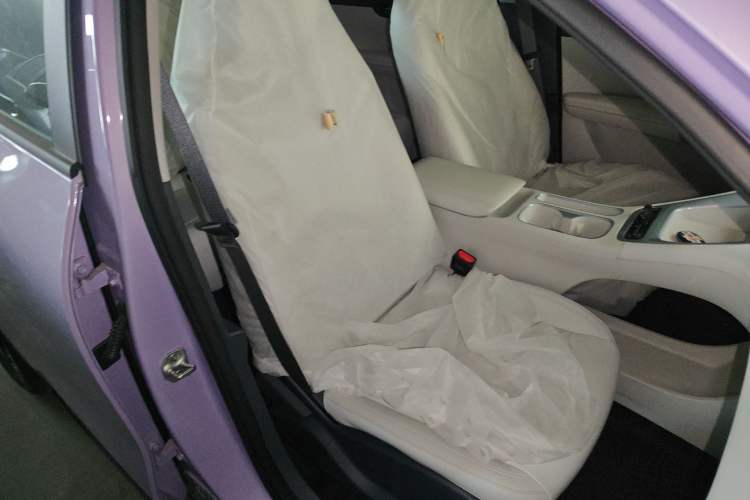 Used Geely Galaxy Geome 2026 Model 310km Dream Edition Right Front Seat