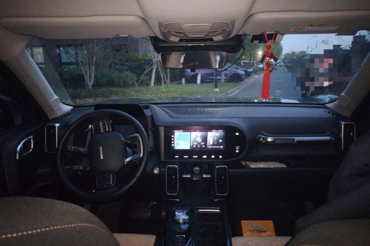 Used Haval DARGO 2021 1.5T DCT Two-Wheel Drive Husky Edition Headliner