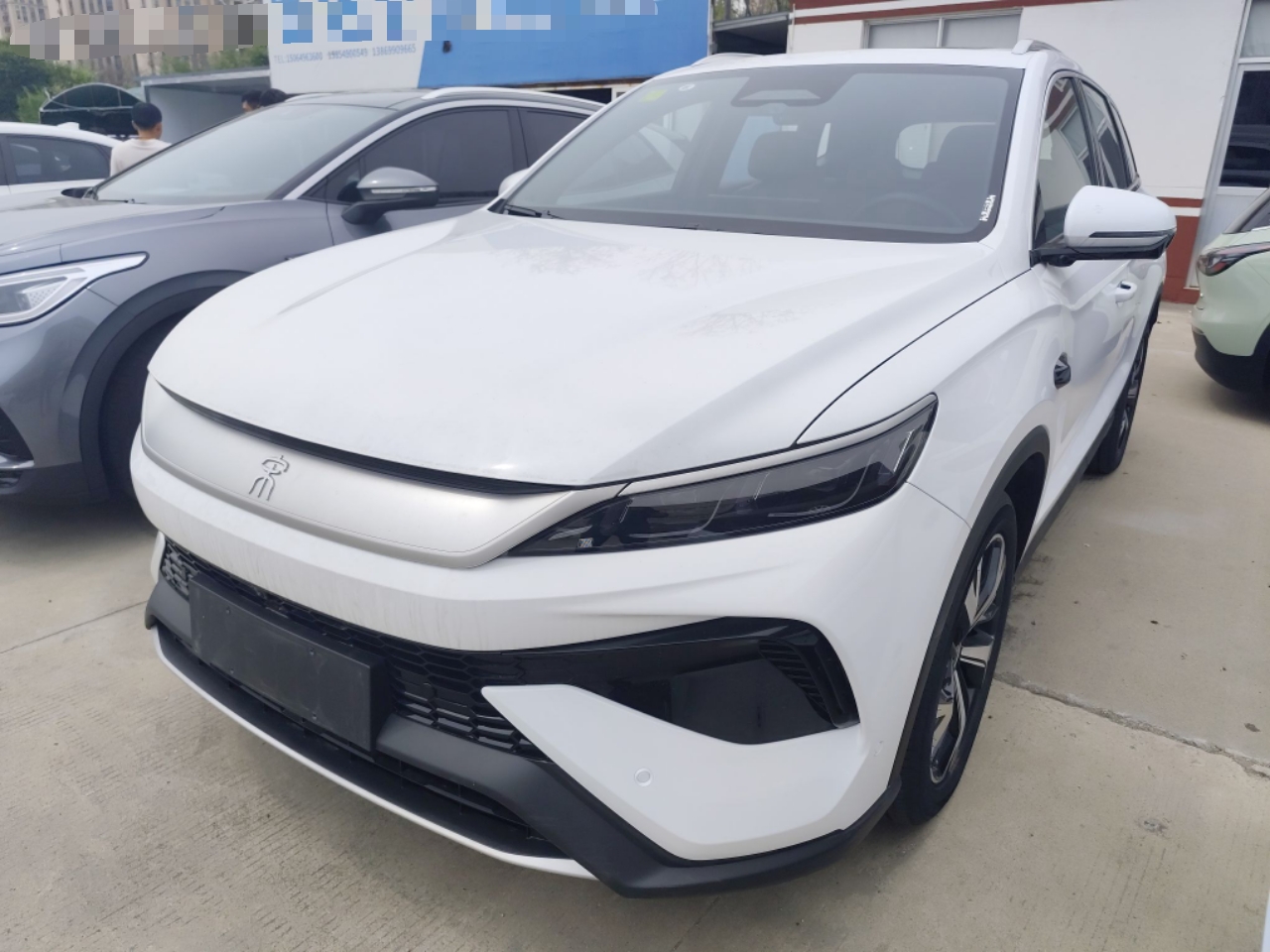 Parte inferior delantera